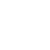 SSL Encryption